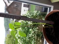 20170501_084900.webp