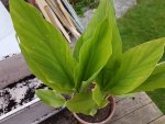 PHOTO_20170501_193813.jpg