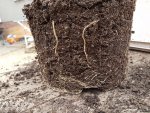 PHOTO_20170501_193919.jpg