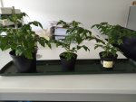 IMG_20170501_112046.jpg