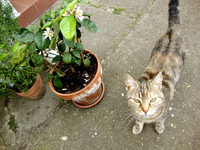 DSC04059.JPG