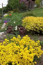 100_3844.webp