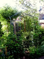 IMG_7682.webp