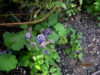 IMG_7688.JPG