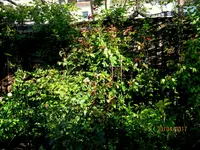 IMG_7689.webp