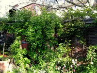 IMG_7691.JPG