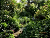 IMG_7694.webp