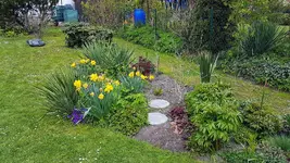 170501 Neugestaltet Ostbeet.webp