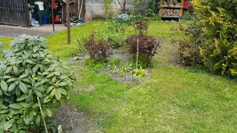 170501 Oberes Westbeet.webp