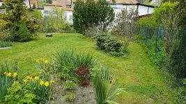 170501 Ostflanke oben.webp