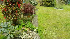 170501 Westflanke2.webp