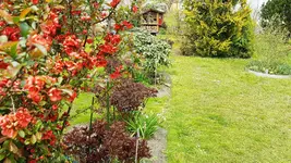170501 Westflanke3.webp