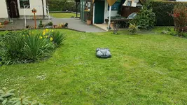 170501 Robby 6 cm- Schnitt.webp