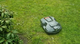 170501 Robby nivelliert auf 6 cm.webp