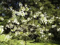BILD6377.webp