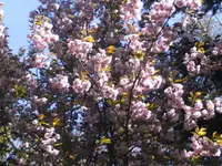 BILD6376.webp