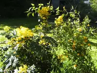 BILD6372.webp