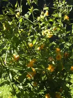 BILD6373.webp