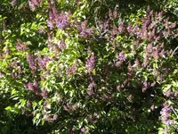 BILD6365.webp