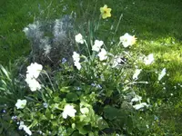BILD6366.webp