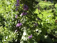 BILD6367.webp