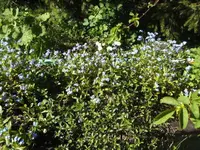 BILD6371.webp