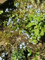BILD6375.webp