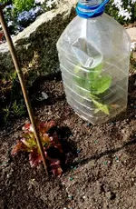 20170501_110421.webp