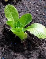 20170501_110520.webp