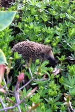 20170419_101853.webp