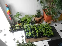 DSCN5195.jpg