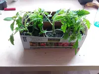 20170504_131742.jpg
