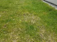 20170429_150619_2.webp