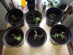 20170504_155511.jpg