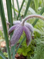 DSCN1551.webp