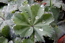 DSCN1553.webp