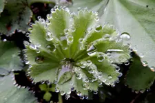 DSCN1558.webp