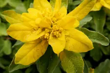 DSCN1577.webp