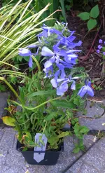 IMG_20170504_212903.JPG