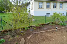 2017-05-02 Zaunbeet Gemüseacker1.webp 2017-05-02 Zaunbeet Gemüseacker1.webp