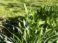 BILD6379.webp