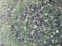 20170505_202333.webp
