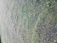 20170505_202348.webp