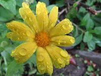 IMG_4761 v (2).webp