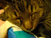 IMGP4885.webp