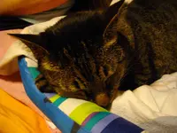 IMGP4882.webp