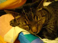 IMGP4884.webp