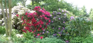 SAM_5082.webp