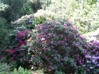 SAM_5090.webp