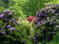 SAM_5091.webp